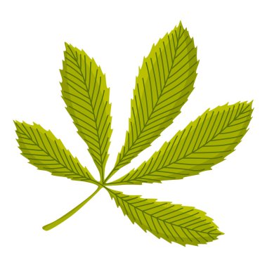 Kestaneler dikdörtgen yapraklar gösteriyordu. Vektör çizimi. Poster, ambalaj, pankart ve ambalaj kağıdı için tasarım ögesi.