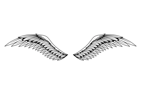 古老的纹章翅膀草图 单色风格的鸟类翅膀 手绘轮廓更清晰的翼型在开放的位置 色彩风格的设计元素 — 图库矢量图片