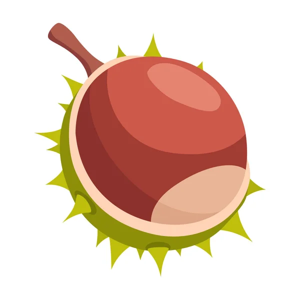 Chestnuts Cracked Shell Prickles Vector Illustration Design Element Poster Packaging — Stockový vektor