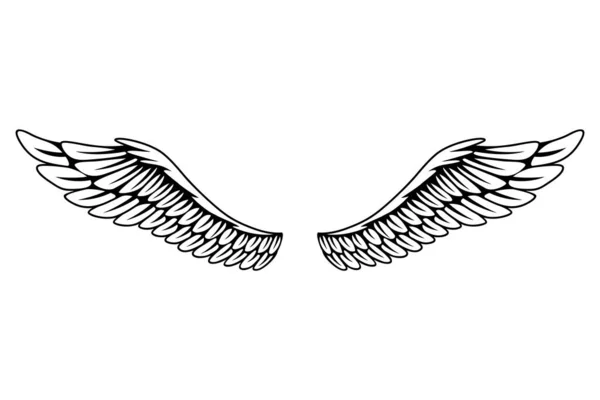 ヴィンテージの紋章の翼のスケッチ モノクローム風の鳥の羽 開いた位置に手描きの接触ステッカーの翼 彩色系のデザイン要素 — ストックベクタ