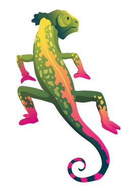 Bukalemun kertenkelesi. Kıvrık kuyruklu ve kamuflaj derili sürüngen, tropikal yaban hayatı. Egzotik hayvanlar için yakın çekim.