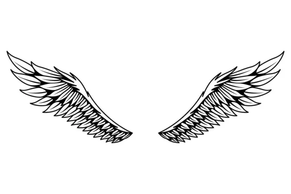 ヴィンテージの紋章の翼のスケッチ モノクローム風の鳥の羽 開いた位置に手描きの接触ステッカーの翼 彩色系のデザイン要素 — ストックベクタ