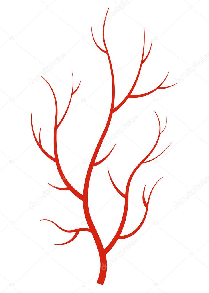 Human veins. Red silhouette vessel, arteries or capillaries on white background. Concept anatomy element for medical science. Vector isolated symbol of blood system.