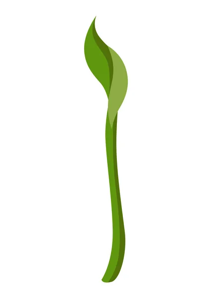 Tillväxtprocess Steg Steg Sekvens Groende Plantor Växtlighetens Utvecklingscykel Naturen Sprout — Stock vektor