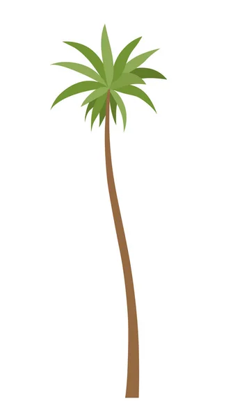 Palm Tree Green Leaves Top Trunk Exotic Fruitful Tree Vector — Stock Vector