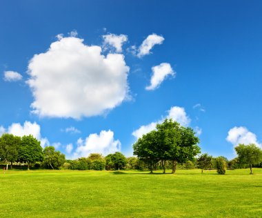 Yeşil çimenlerin üzerinde bir golf alanı