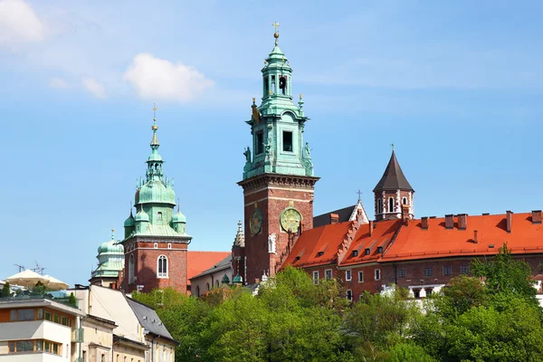 Cracovie, Pologne - célèbre cathédrale de Wawel — Photo