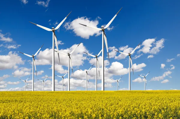 Granja de aerogeneradores con campo de colza — Foto de Stock