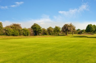 Golf alanı