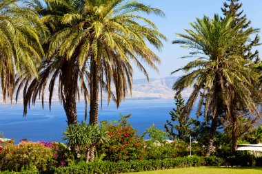 Sea of Galilee, Mount of Beatitudes, gardens clipart