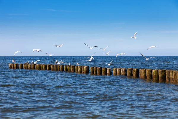 Zee landschap — Stockfoto