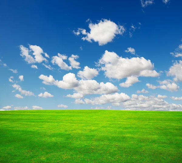 Campo em um contexto do céu azul — Fotografia de Stock