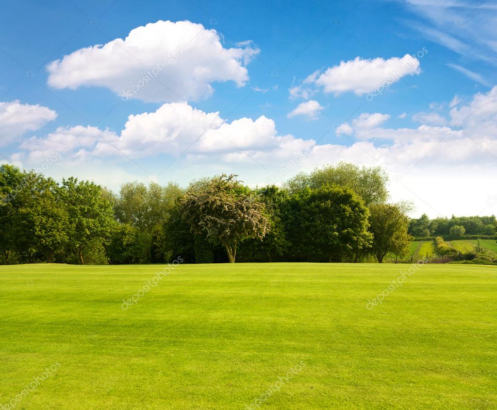 Green grass on a golf field