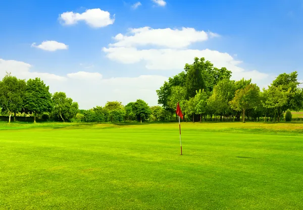 Повредите зеленую траву на поле для гольфа — стоковое фото