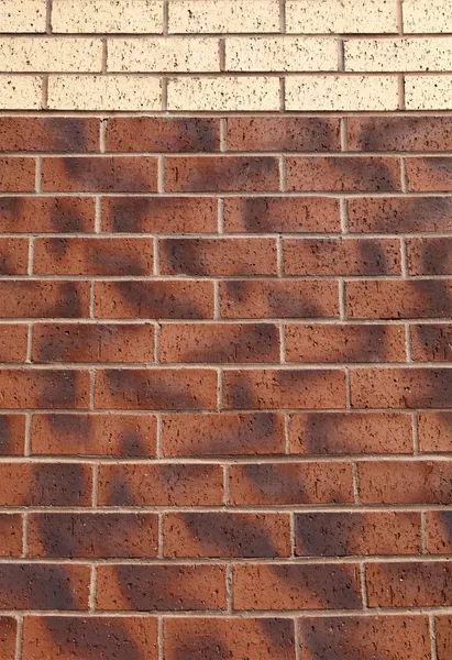 Brick Wall textuur — Stockfoto