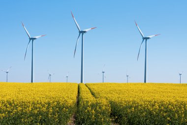Rüzgar türbinleri - alternatif enerji