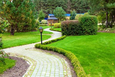 Güzel park Bahçe