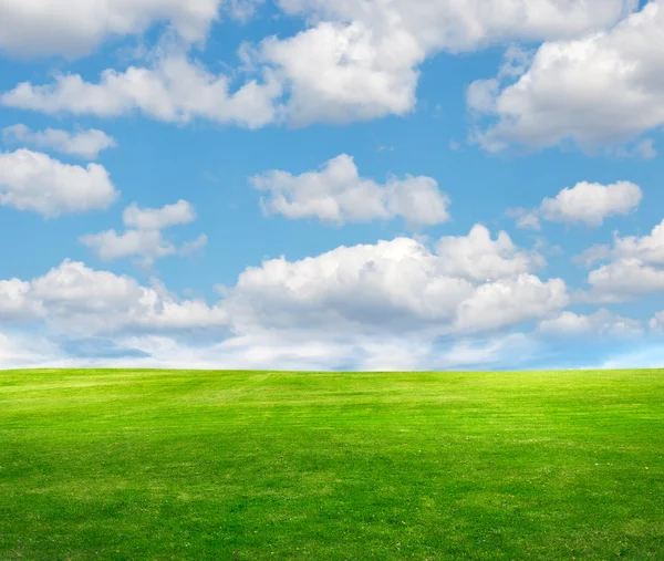 Feld auf einem Hintergrund des blauen Himmels — Stockfoto