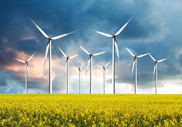 Wind turbines farm — Stock Photo, Image