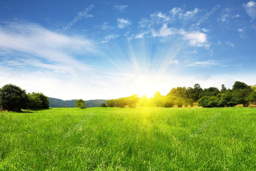 Field and bright sky with sun