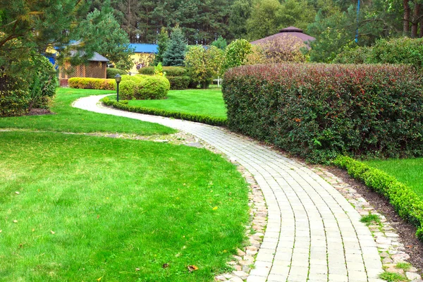 Grüner Garten — Stockfoto