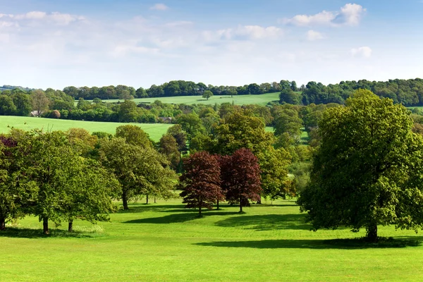 Natuurlandschap — Stockfoto