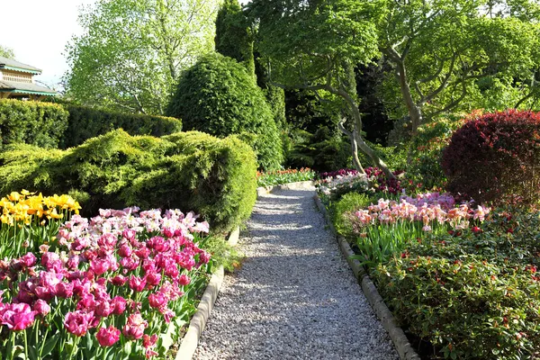 Cororful spring garden. — Stock Image Cororful spring garden. Stock Picture
