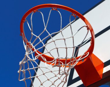 Basketbol potası