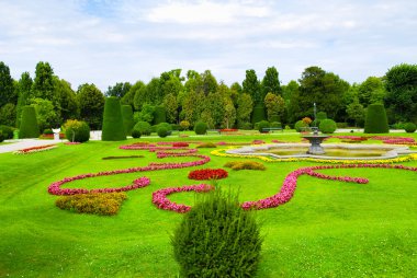Parktaki çiçek tarhı