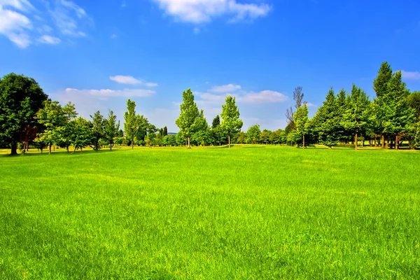 Zomer landschap — Stockfoto