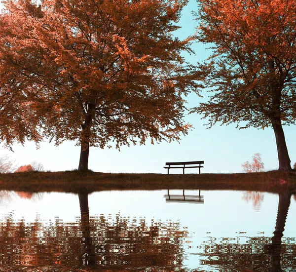 Tezgah ve ağaçlarda sonbaharda Şehir Parkı — Stok fotoğraf