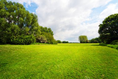 Yeşil doğa manzara