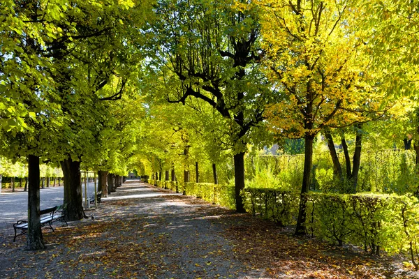 Alej na podzimní park — Stock fotografie