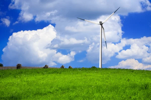 Medio ambiente nuestras vidas —  Fotos de Stock