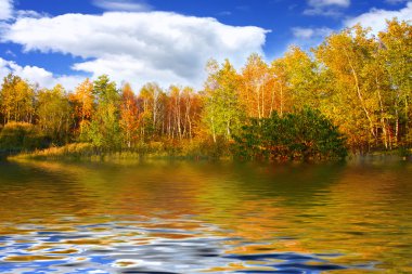 fantastik sonbahar manzarası