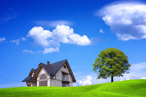 New house and green environment Royalty Free Stock Images