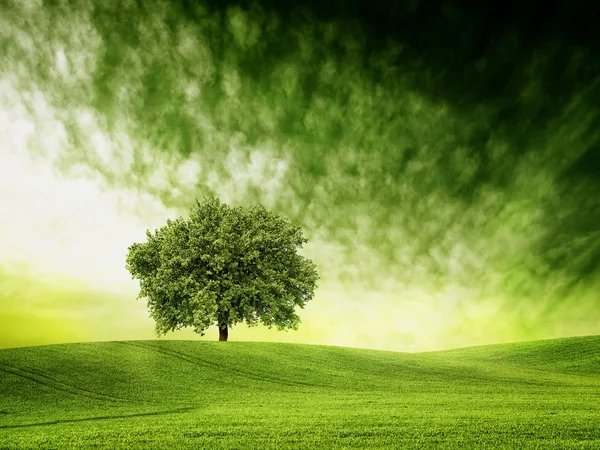 Find time for green time — Stock Photo, Image