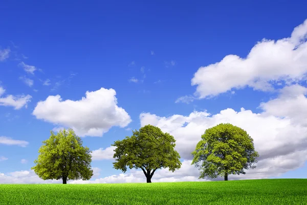 Yeşil bahar geliyor