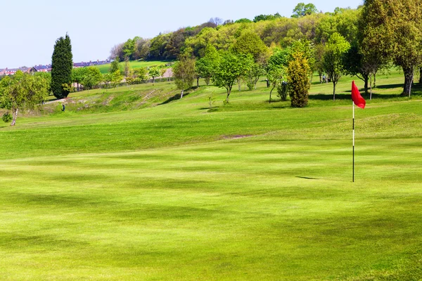 Golf piłka na zielony — Zdjęcie stockowe