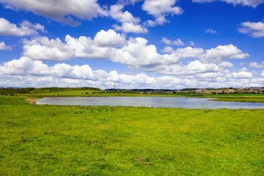 Yorkshire, İngiltere'de manzara