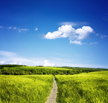 yolunu kullanarak meadows
