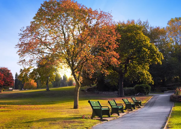 Banco en el parque de otoño —  Fotos de Stock