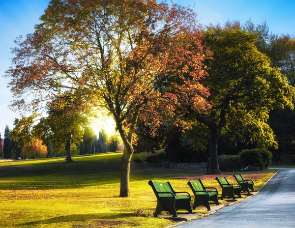 Parque de otoño soleado —  Fotos de Stock