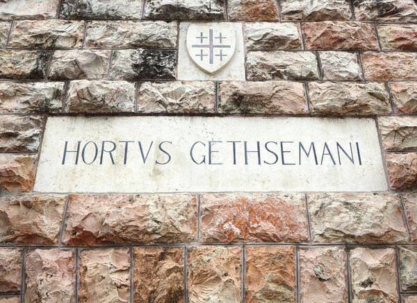 Wall in the garden of Gethsemane
