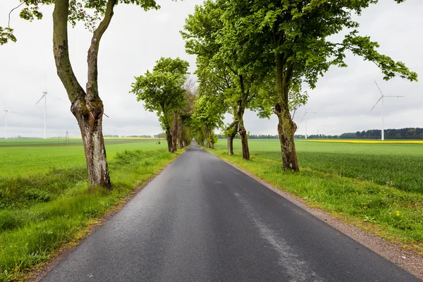 Rüzgarlı road — Stok fotoğraf