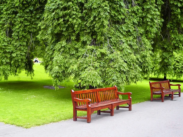 Parque verde — Fotografia de Stock