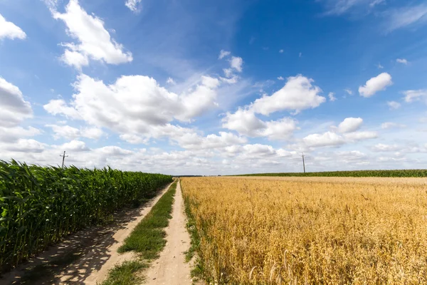 Domínio agrícola — Fotografia de Stock