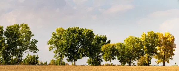 Wolken — Stockfoto