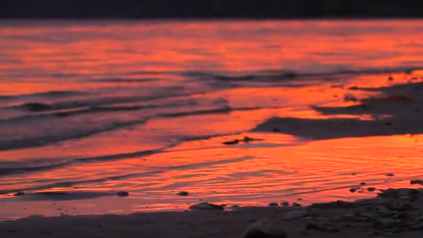 Waves on lake on sunset — Stock Video
