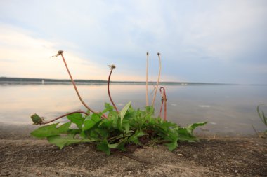 bulutlu gökyüzü mavi göl